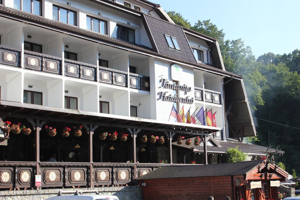 Hotel Fantanita Haiducului Bradu  Eksteriør bilde